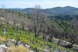 El Gobierno acepta considerar v&iacute;ctimas a las comunidades de montes vecinales expropiadas por el franquismo