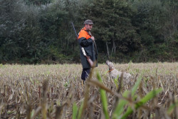 El Gobierno acuerda con 10 CCAA implantar una licencia interauton&oacute;mica de caza y pesca en aguas interiores