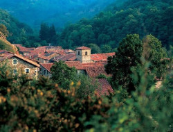 El Gobierno adjudica ayudas de 350.000 euros para facilitar el funcionamiento de 326 entidades locales menores