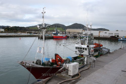 El Gobierno convoca las ayudas para organizaciones de productores pesqueros por 220.000 euros