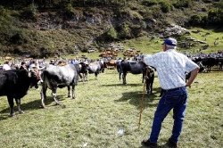  El Gobierno destina 2,9 millones de euros a Cantabria para financiar intervenciones de desarrollo rural