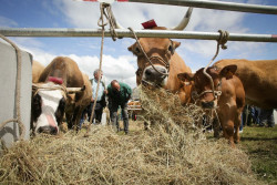 El Gobierno publica en el BOE la orden de m&oacute;dulos con reducciones en el IRPF para agricultores y ganaderos