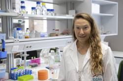 El IBBTEC desarrolla un fármaco experimental que previene la fibrosis cardiaca en modelos humanos de laboratorio