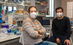 El IBBTEC participa en un estudio para mejorar la eficacia de la quimioterapia en c&aacute;ncer de mama triple negativo