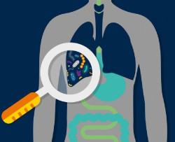 El microbioma humano arroja luz sobre la mayor tasa de morbilidad en las poblaciones minoritarias