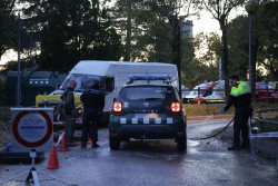 El Ministerio de Agricultura crea un comité científico para el asesoramiento del brote de peste porcina