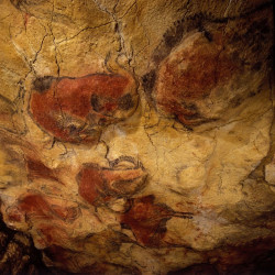 El Ministerio de Cultura realiza un `gemelo digital` de la cueva de Altamira para reforzar su conservaci&oacute;n