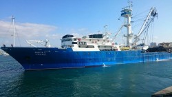 El ministro Planas acepta una drástica reducción de la cuota pesquera merluza sur y pesca mediterránea que producirá más paro y barcos al desguace 