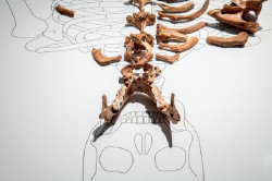 El MUPAC inaugura una exposici&oacute;n temporal sobre la Dama Roja del Mir&oacute;n