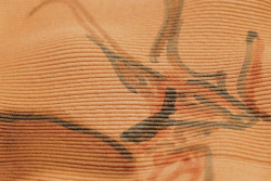 El Museo Arqueol&oacute;gico Nacional ofrece una nueva mirada del arte rupestre de Altamira con Inteligencia Artificial