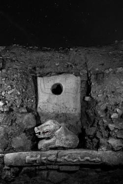 El Museo de Altamira inaugura la muestra fotogr&aacute;fica `Una nueva historia` de Isabel Mu&ntilde;oz