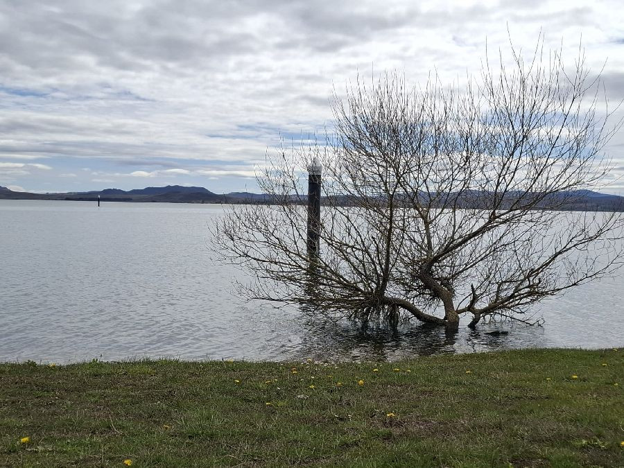 El pantano del Ebro se mantiene en el 86,6% de su capacidad