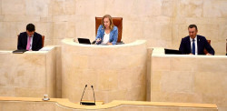 El Parlamento debate este lunes sobre el proyecto Altamira y la gesti&oacute;n de personal de MARE