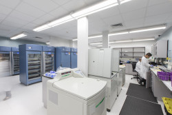 El peaje de la sangre, por el Dr. Alfonso Campuzano