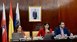 El Pleno aprueba la cubrici&oacute;n del Parque de Mendicoague y la adhesi&oacute;n a la iniciativa de la Plataforma Marea Postal