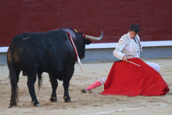 El PP lleva este miércoles la restitución del Premio Nacional de Tauromaquia al Congreso