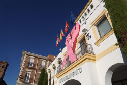 El PP subraya su compromiso en la lucha contra el cáncer de mama: "La ciencia es la mejor aliada"