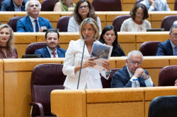 El PP vuelve a citar en el Senado a Marlaska, Robles y Albares por la crisis de Ceuta tras su "plant&oacute;n" en agosto