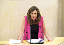 El PRC insiste en la falta de planificación del Gobierno como causa del "caos" sanitario