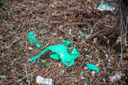 El proyecto Libera moviliza a 28 voluntarios para limpiar y analizar basura en entornos fluviales de Cantabria