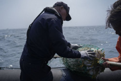 El PSOE propone que los migrantes puedan ser capitán de barco de un pesquero