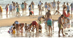 El rede&ntilde;o de nuevo