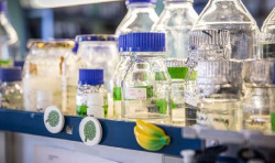  El repositorio cient&iacute;fico del CSIC crea una colecci&oacute;n con las investigaciones sobre los coronavirus