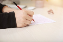 El SCS publica el listado provisional de admitidos de siete categor&iacute;as profesionales