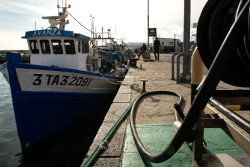 El sector pesquero pide al Gobierno medidas urgentes ante el  amarre de la flota por el alza del combustible