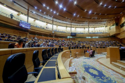 El Senado aprueba un informe que reclama m&aacute;s profesionales para mejorar la salud mental y prevenir el suicidio