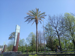 El tiempo se estabiliza este domingo, suben las temperaturas m&aacute;ximas y se esperan tormentas en el norte