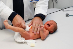 El trasplante de microbiota materna puede ayudar a restaurarla en los beb&eacute;s con riesgo de diabetes