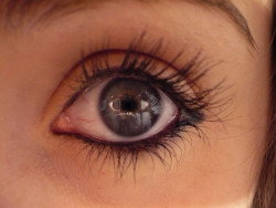 El tratamiento quir&uacute;rgico y el farmacol&oacute;gico conducen a resultados similares para la enfermedad ocular diabetes