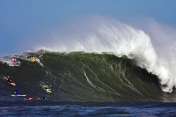 El vasco Indar Unanue, campe&oacute;n de la Vaca Gigante