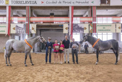 El XXIV Concurso Morfológico Ciudad de Torrelavega reúne a 65 caballos procedentes de todo el país