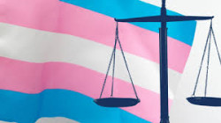 Error y consecuencias de la LEY TRANS  Por Juan Goti Ordeñana  Catedrático jubilado de la Universidad de Valladolid