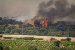 Espa&ntilde;a registra 222.783 hect&aacute;reas quemadas hasta el 5 de agosto, el 44,5% del total de la UE