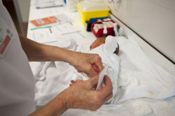 Espa&ntilde;a registr&oacute; en los dos primeros meses del a&ntilde;o 51.910 nacimientos, un 1,4% m&aacute;s respecto a 2025, y 82.526 defunciones