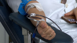 España supera los 500.000 donantes inscritos en el Registro de Donantes de Médula Ósea