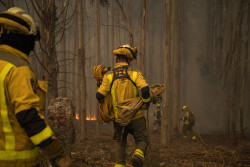 Europa registr&oacute; olas de calor in&eacute;ditas en tierra y mar en 2025, con r&eacute;cord en superficie quemada, seg&uacute;n Copernicus