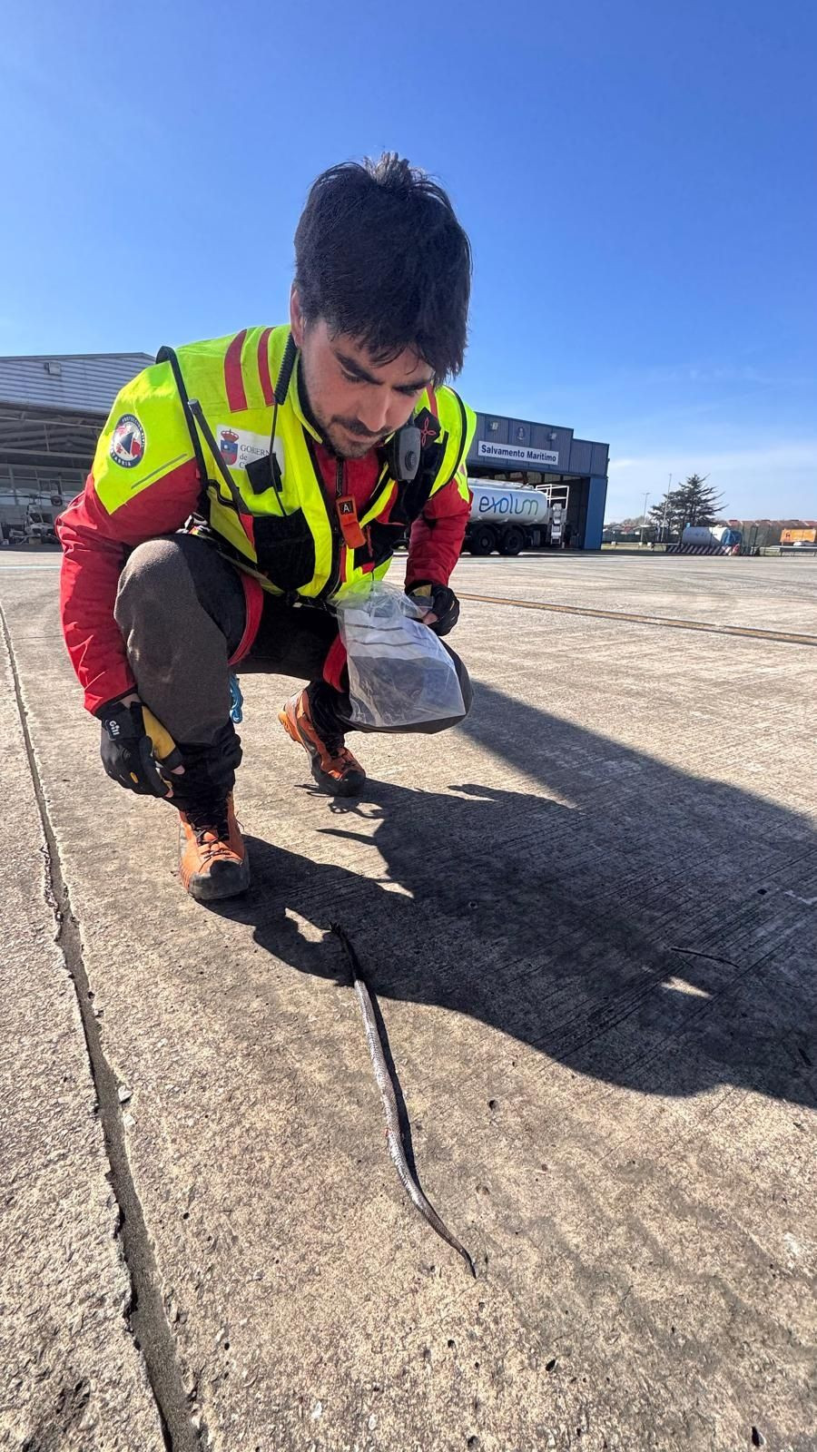 Evacuado grave un senderista vasco de 72 a&ntilde;os tras ser mordido por una v&iacute;bora en Arredondo