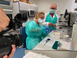  Expertos creen que "habr&aacute; varias vacunas del COVID-19 pero no antes de un a&ntilde;o"