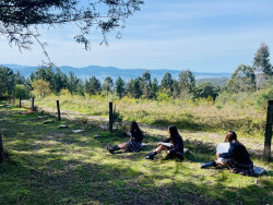 Expertos de Harvard analizan en Espa&ntilde;a el aprendizaje en entornos fuera del aula: "Mejora el bienestar y el rendimiento"