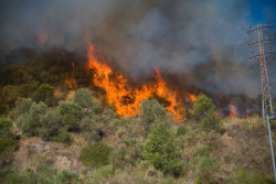 Expertos proponen impulsar la gesti&oacute;n de montes con mejoras fiscales y ayuda de empresas para luchar contra el fuego
