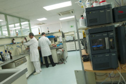 Faes Farma gana 80 millones en 2025, un 28,3% menos, y anuncia dividendo complementario de 0,087 euros