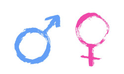 Feminismo Vs. Machismo, por el Dr. Alfonso Campuzano