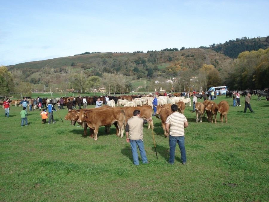 Feria de ganados en Arenas de Iguña, el segundo domingo de noviembre