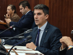 Fernández exige explicaciones a Igual por su "negligencia" en el IMD tras el recurso de la Federación de Fútbol