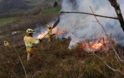 Fiscal&iacute;a abre diligencias tras recibir las denuncias del Gobierno contra cuatro sospechosos de provocar incendios