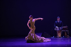 Flamenco Festival Nueva York concluye con 32.500 espectadores su homenaje a Paco de Luc&iacute;a